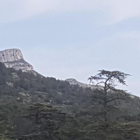 Charmant Appartement Neuf Le Taoume Marsilya Dış mekan fotoğraf