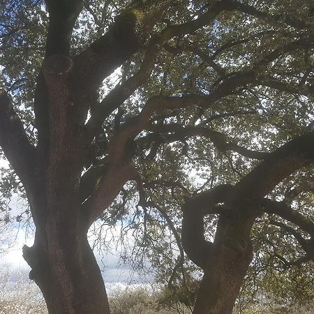 Charmant Appartement Neuf Le Taoume Marsilya Dış mekan fotoğraf