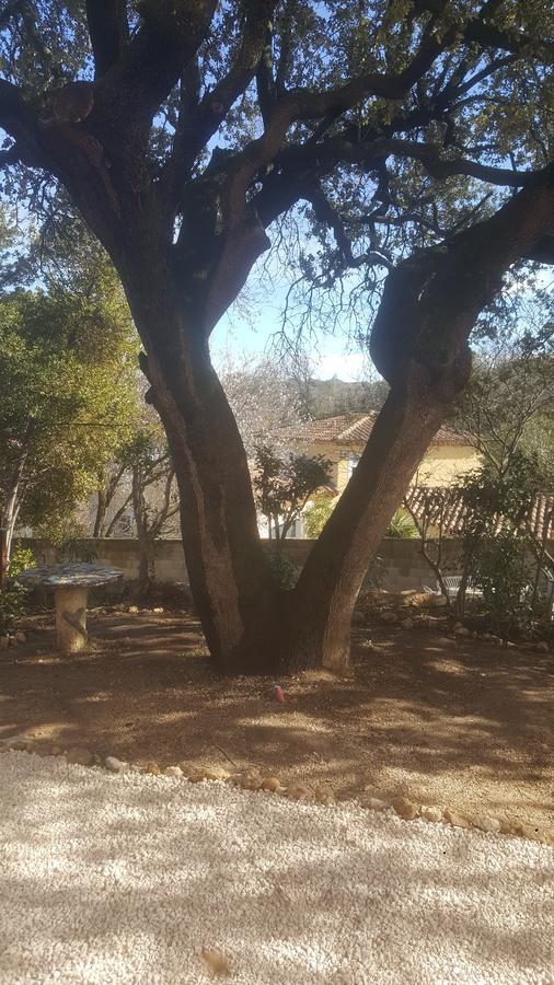 Charmant Appartement Neuf Le Taoume Marsilya Dış mekan fotoğraf