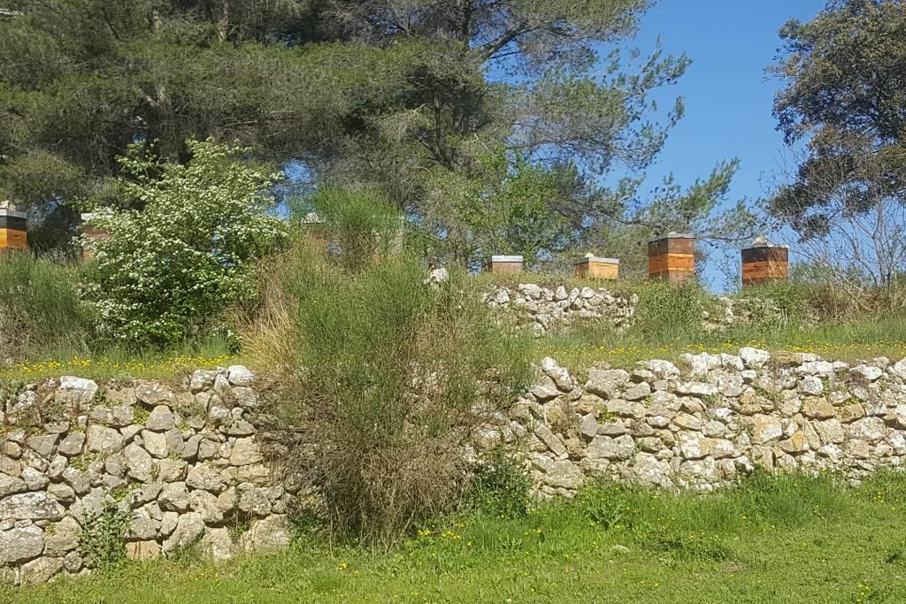 Charmant Appartement Neuf Le Taoume Marsilya Dış mekan fotoğraf