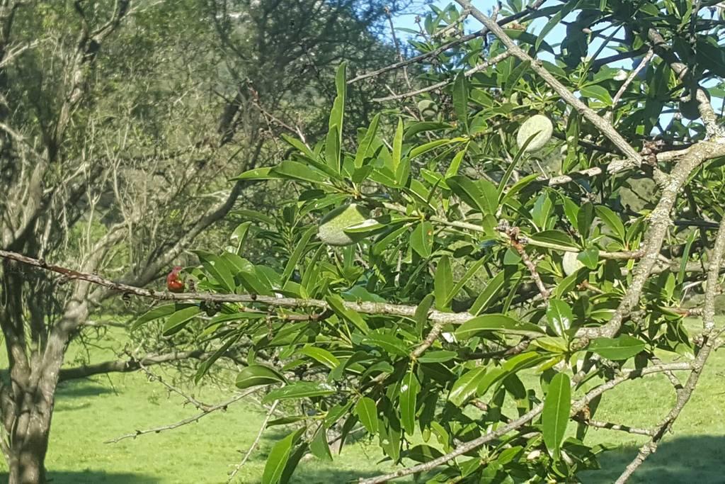 Charmant Appartement Neuf Le Taoume Marsilya Dış mekan fotoğraf
