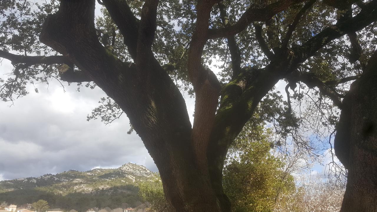 Charmant Appartement Neuf Le Taoume Marsilya Dış mekan fotoğraf